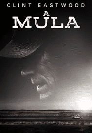 A Mula